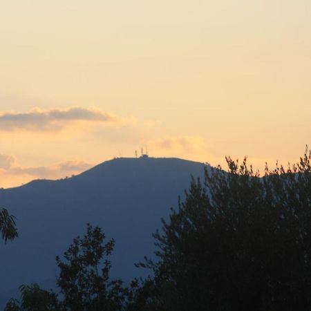 La Quercia Agriturismo Imperia Eksteriør billede