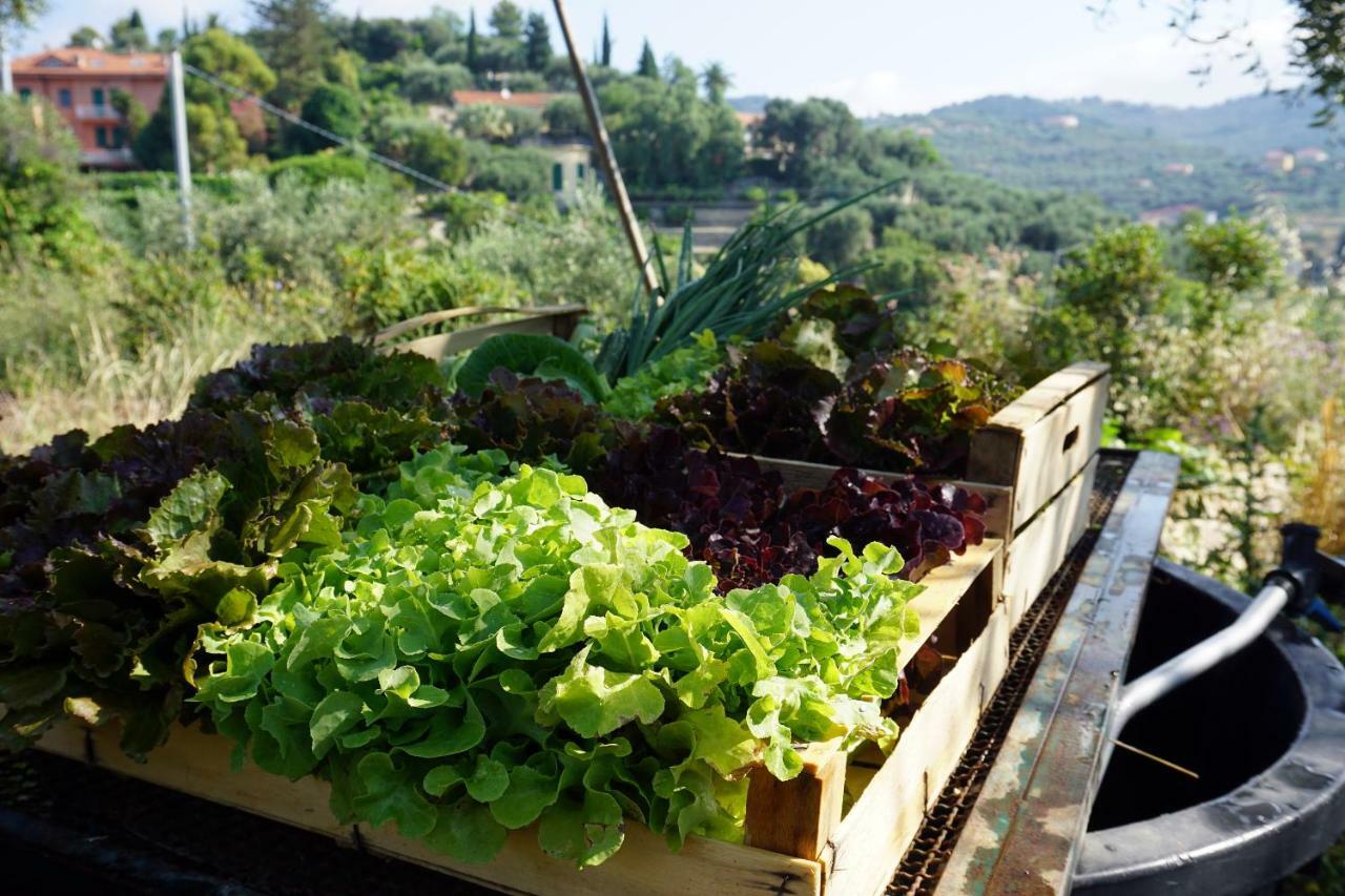 La Quercia Agriturismo Imperia Eksteriør billede